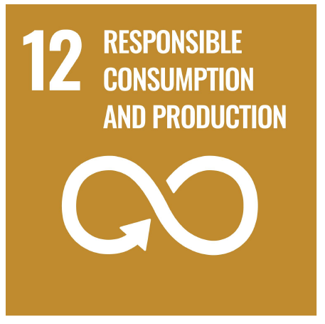 SDG 12: Responsible Consumption and Production